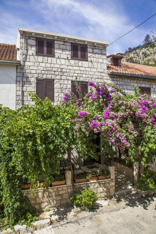 Ante Apartments Trstenik  Extérieur photo
